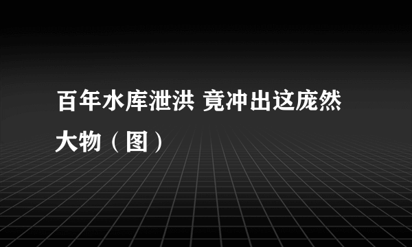 百年水库泄洪 竟冲出这庞然大物（图）