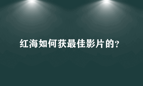 红海如何获最佳影片的？