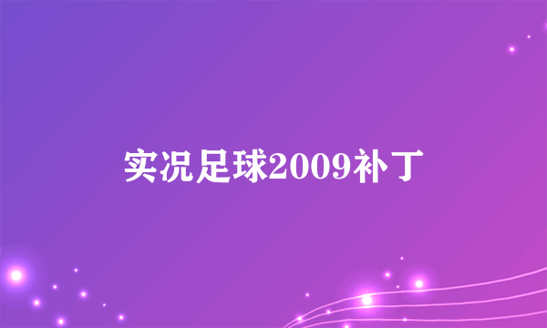 实况足球2009补丁
