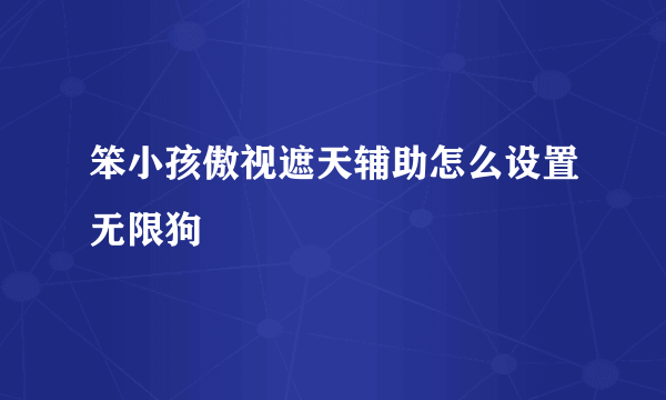 笨小孩傲视遮天辅助怎么设置无限狗