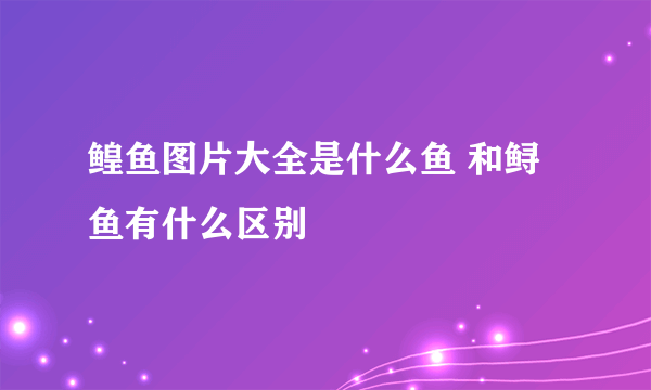 鳇鱼图片大全是什么鱼 和鲟鱼有什么区别