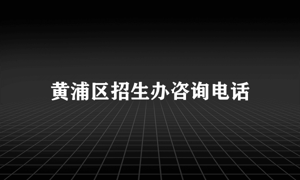黄浦区招生办咨询电话