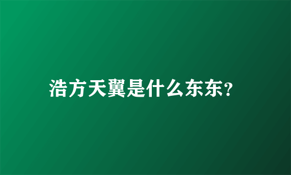 浩方天翼是什么东东？
