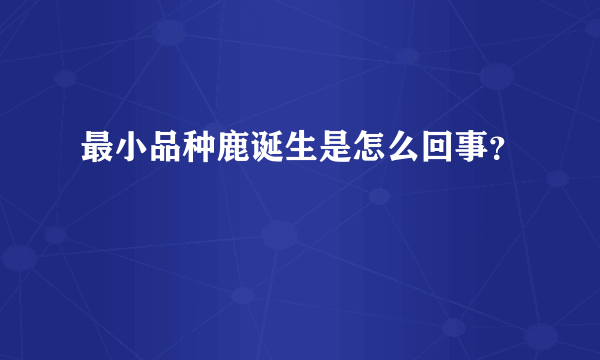 最小品种鹿诞生是怎么回事？