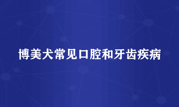 博美犬常见口腔和牙齿疾病