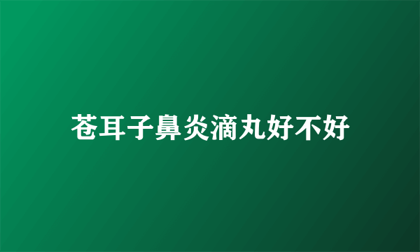 苍耳子鼻炎滴丸好不好