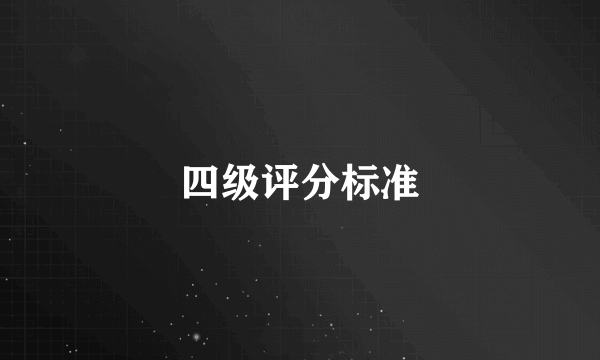 四级评分标准