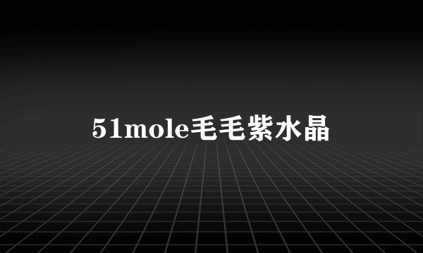51mole毛毛紫水晶