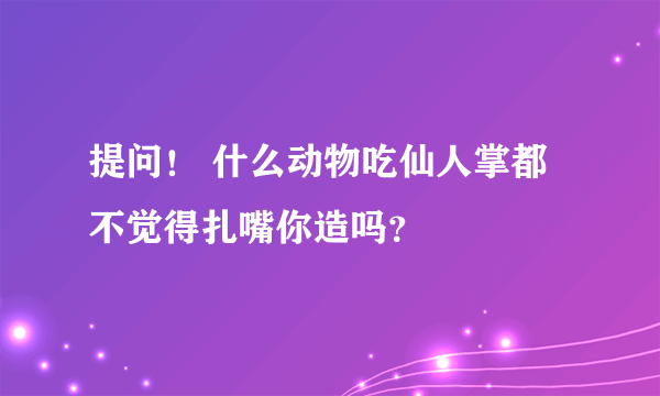 提问！ 什么动物吃仙人掌都不觉得扎嘴你造吗？