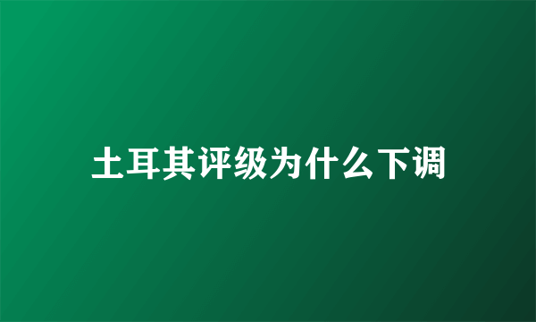 土耳其评级为什么下调