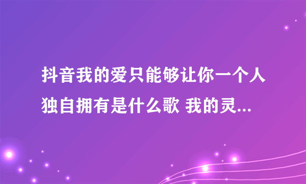 抖音我的爱只能够让你一个人独自拥有是什么歌 我的灵和魂魄不停守候在你心门口