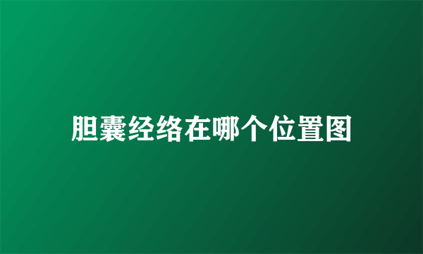 胆囊经络在哪个位置图