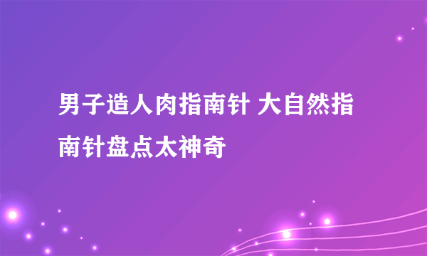 男子造人肉指南针 大自然指南针盘点太神奇