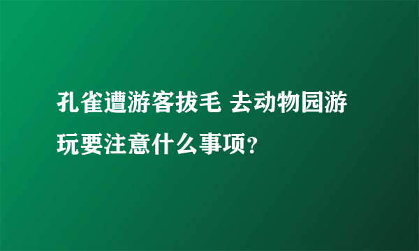 孔雀遭游客拔毛 去动物园游玩要注意什么事项？