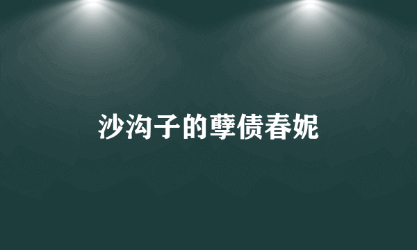 沙沟子的孽债春妮
