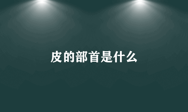 皮的部首是什么