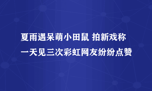 夏雨遇呆萌小田鼠 拍新戏称一天见三次彩虹网友纷纷点赞