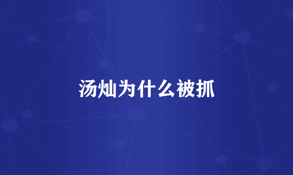 汤灿为什么被抓