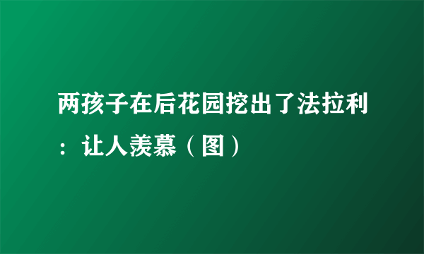 两孩子在后花园挖出了法拉利：让人羡慕（图）