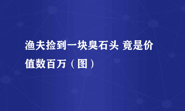 渔夫捡到一块臭石头 竟是价值数百万（图）