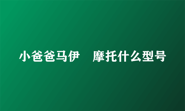 小爸爸马伊琍摩托什么型号