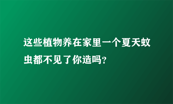 这些植物养在家里一个夏天蚊虫都不见了你造吗？