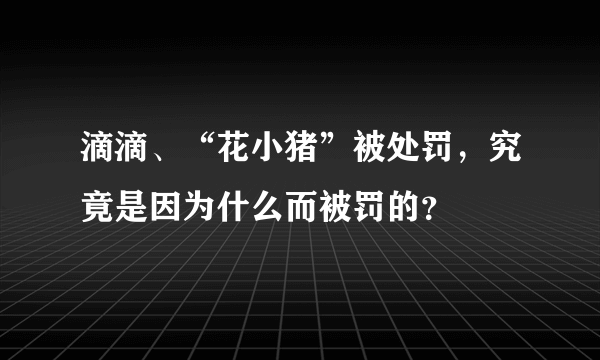 滴滴、“花小猪”被处罚，究竟是因为什么而被罚的？