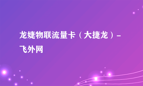 龙婕物联流量卡（大捷龙）-飞外网