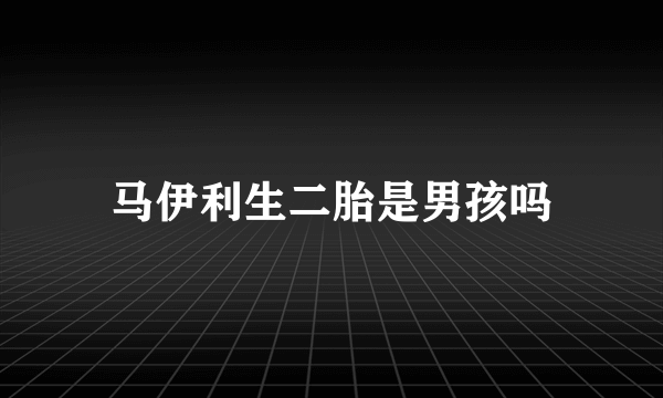 马伊利生二胎是男孩吗