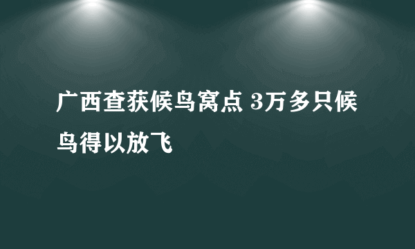 广西查获候鸟窝点 3万多只候鸟得以放飞