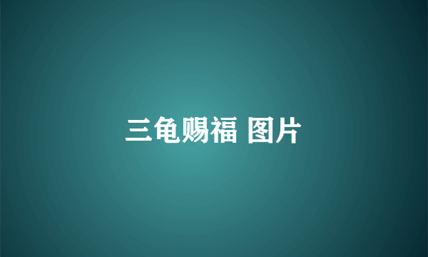 三龟赐福 图片