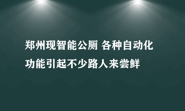 郑州现智能公厕 各种自动化功能引起不少路人来尝鲜