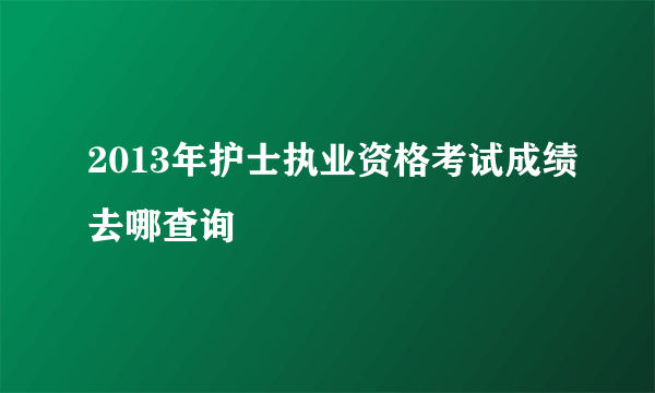 2013年护士执业资格考试成绩去哪查询