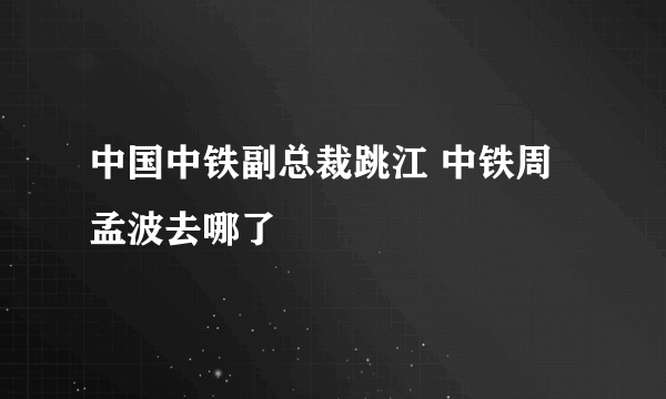 中国中铁副总裁跳江 中铁周孟波去哪了