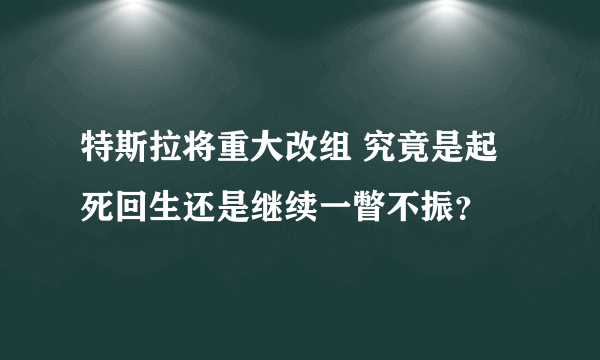 特斯拉将重大改组 究竟是起死回生还是继续一瞥不振？