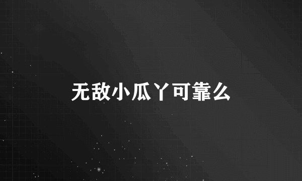 无敌小瓜丫可靠么