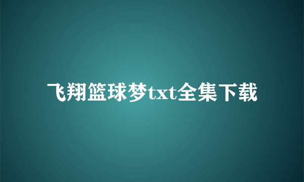 飞翔篮球梦txt全集下载