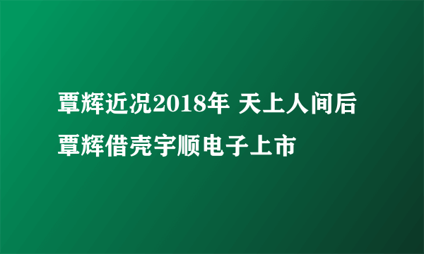 覃辉近况2018年 天上人间后覃辉借壳宇顺电子上市