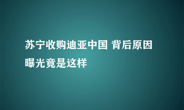 苏宁收购迪亚中国 背后原因曝光竟是这样