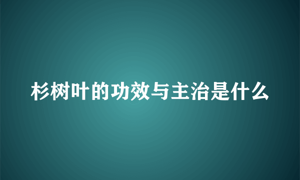杉树叶的功效与主治是什么