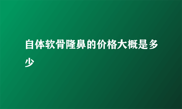 自体软骨隆鼻的价格大概是多少