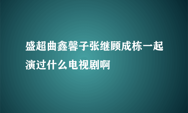 盛超曲鑫馨子张继顾成栋一起演过什么电视剧啊