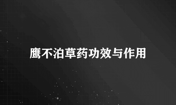 鹰不泊草药功效与作用