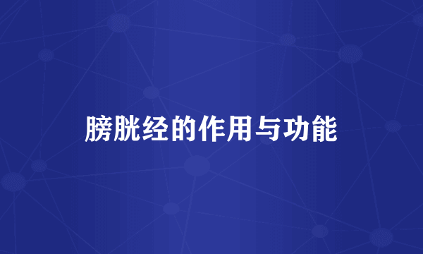 膀胱经的作用与功能