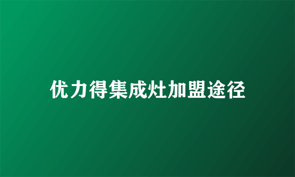 优力得集成灶加盟途径