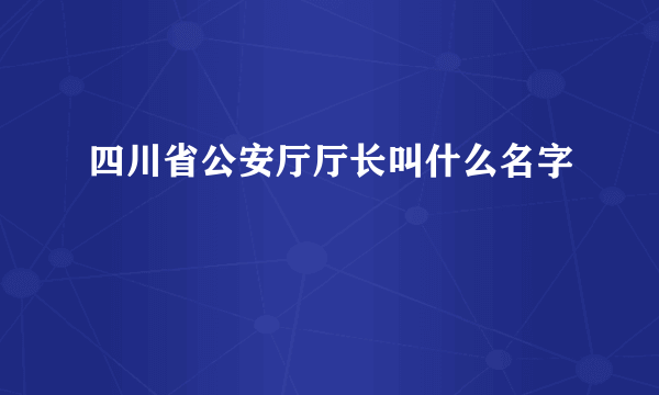 四川省公安厅厅长叫什么名字