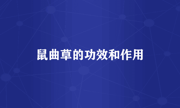 鼠曲草的功效和作用