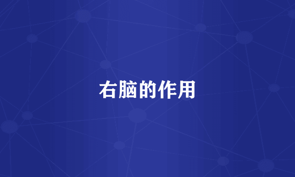 右脑的作用