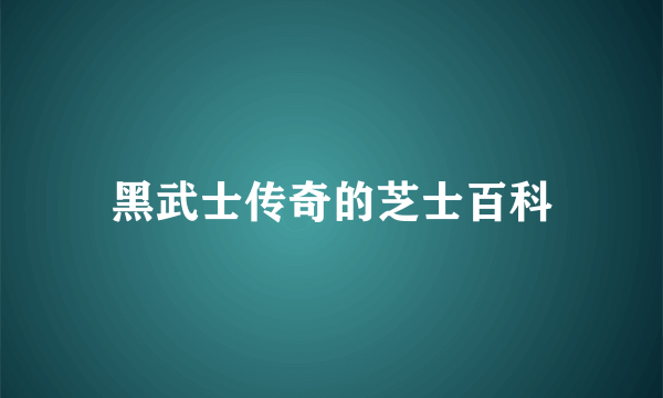 黑武士传奇的芝士百科