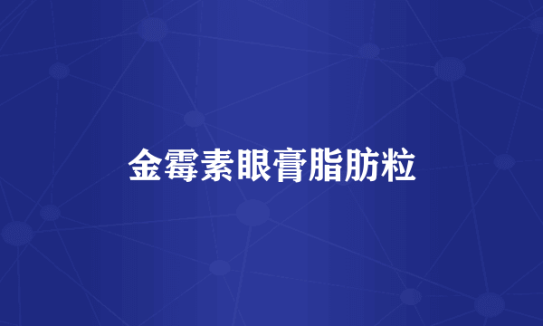 金霉素眼膏脂肪粒